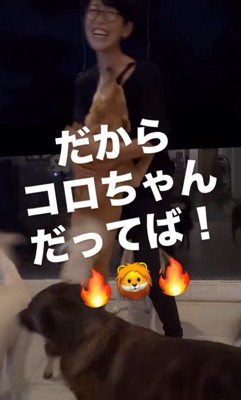 お母さんを歓迎する保護犬たち⑩