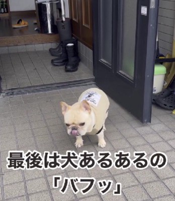 可愛すぎる地団駄でした♡