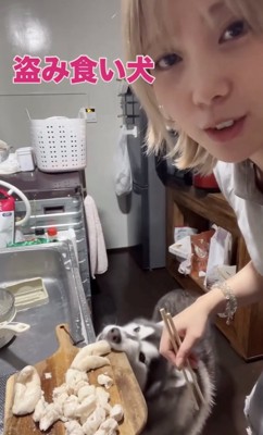 食べちゃった！