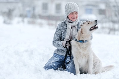 雪の中を散歩する犬と女の子