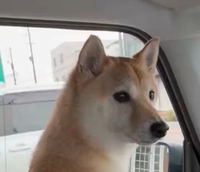 病院だと気付いたはなこちゃん