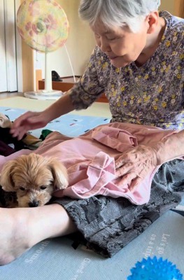 大のおばあちゃんっ子