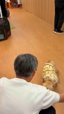 男性の足元に戻って来た犬