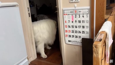 立ち去るアランくん