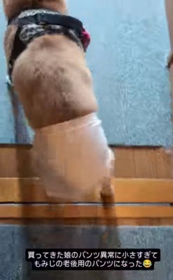 可愛いおむつがもらえたね♡