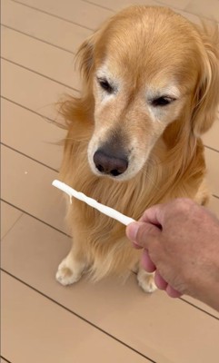 お手伝いをするホット君7