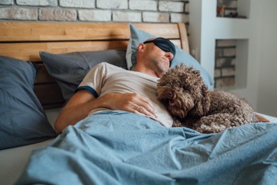 一緒に寝ている男性と犬