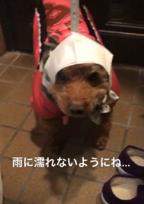 「これ、本当に合ってる…?」