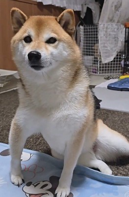 座り方の癖が強すぎる…!!
