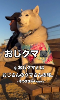 物思いにふける!?