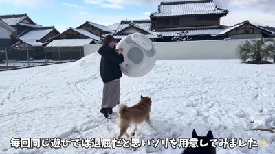 ソリを買ってみたよ！！