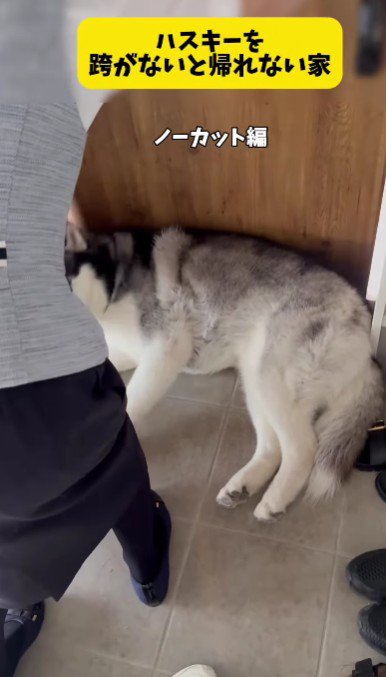 「失礼します」