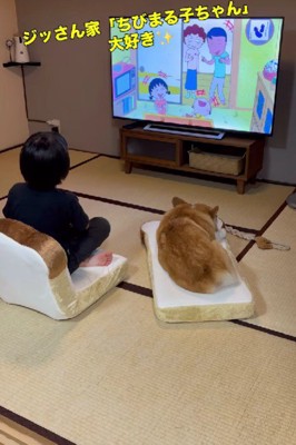 仲睦まじい姿にキュン