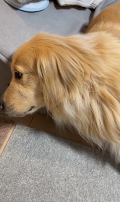 金髪サラサラヘアーのひなた君6