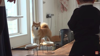 みーくんが心配なはちくん