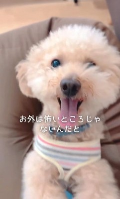 すいーぶ君の変化9