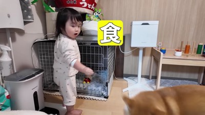 おやつを食べさせた！！