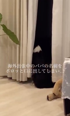 帰ってこないかな