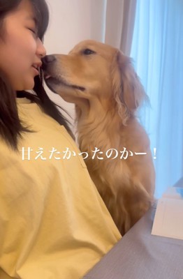 顔を舐める大型犬