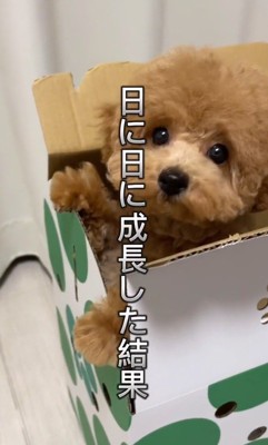 スクスク成長した結果…