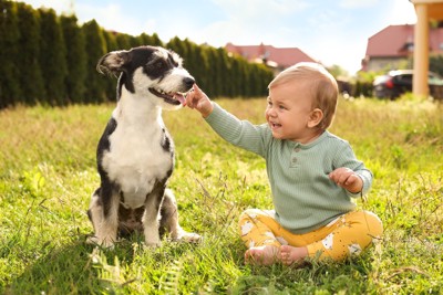 笑顔の赤ちゃんと犬