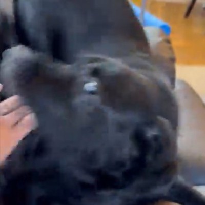 元気いっぱい！