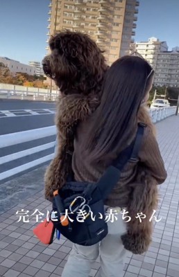 体重、ほぼ30キロ