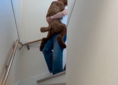 階段を降りてくる女の子