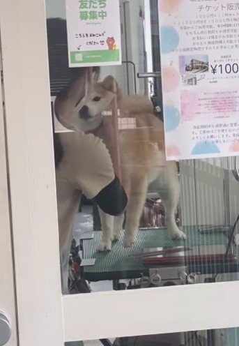 小雨ちゃんと目が合った!!