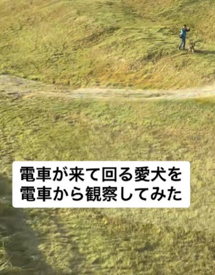 ハルクちゃんがいた