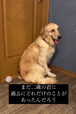 過去になにがあったの？