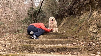 そばで様子をうかがっています