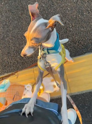 「待った方がいいよ…」