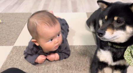 「まだまだだな」