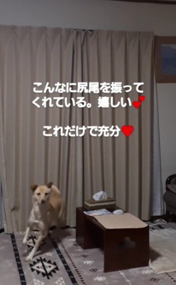 健気で可愛いそらちゃんでした