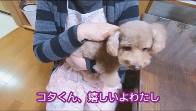 犬を膝の上に乗せる女性