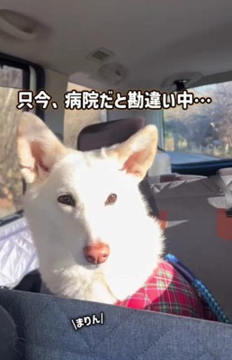 「今日は違うよ」