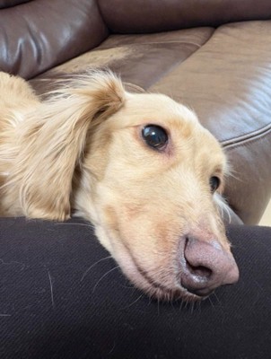 甘えている時は幸せそう♡