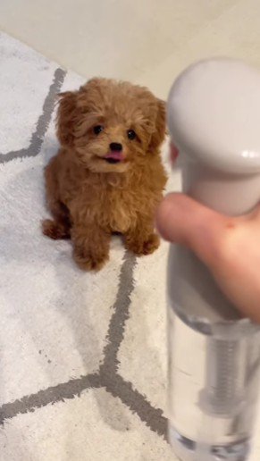 ペロペロ舐めた♡