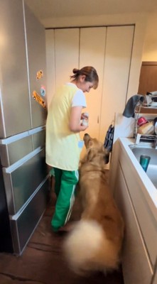 しっぽを振りながら飼い主についていく犬