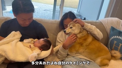 自分のペースで仲良くなりたい