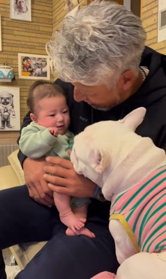 こぶし君と赤ちゃん7