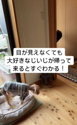 おじいちゃんが家に来ると…