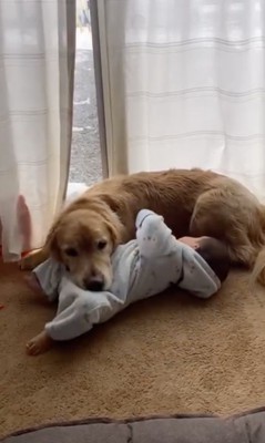 向きを変えたい