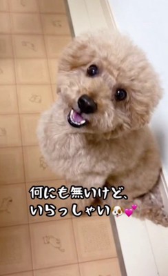 「何にもないけどいらっしゃい♪」