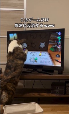 ゲームに興味津々のググくん9