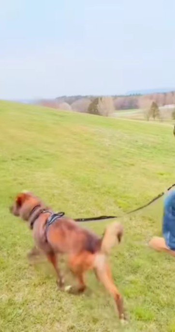 温かく素敵なおうち!