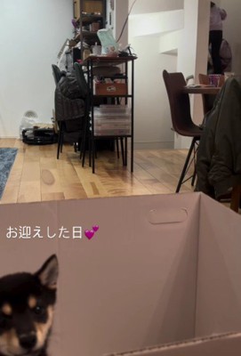 2階に駆け上がってしまった!