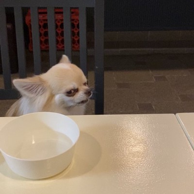 衝撃