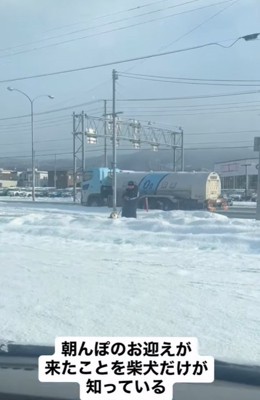 車の方を見つめる柴犬と気づいていない飼い主